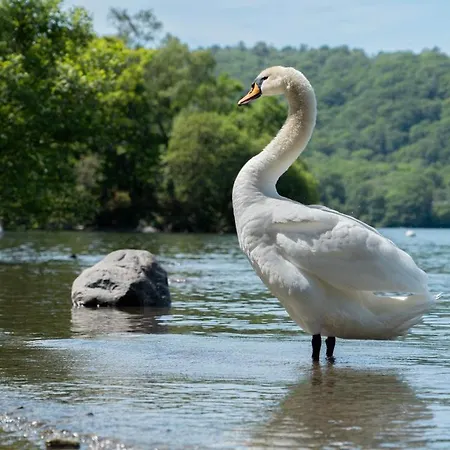 캠프장 Hill Of Oaks 5*