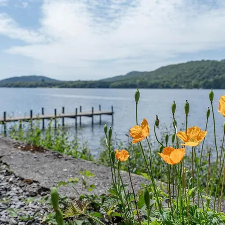 캠프장 Hill Of Oaks 윈더미어