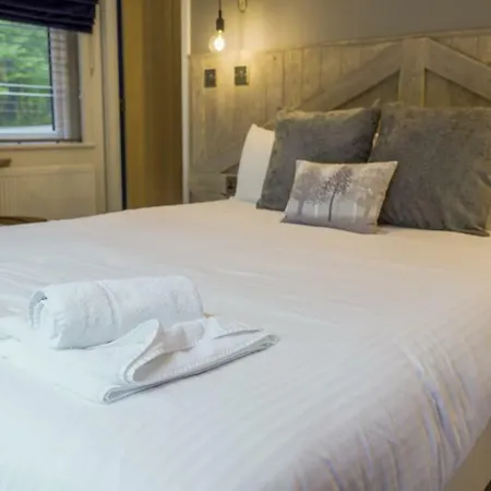 캠프장 Hill Of Oaks