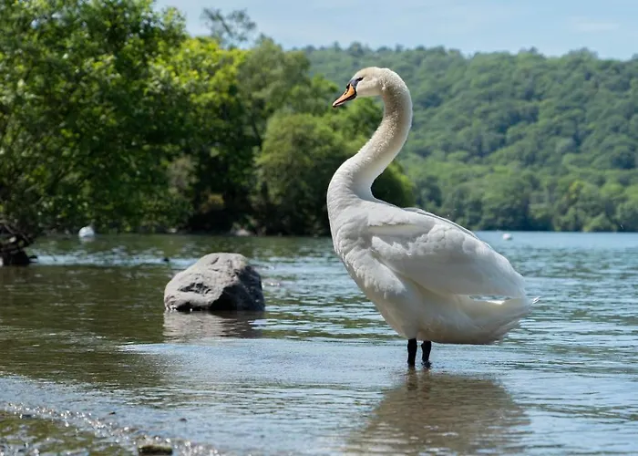 Campingplatz Hill Of Oaks 5*