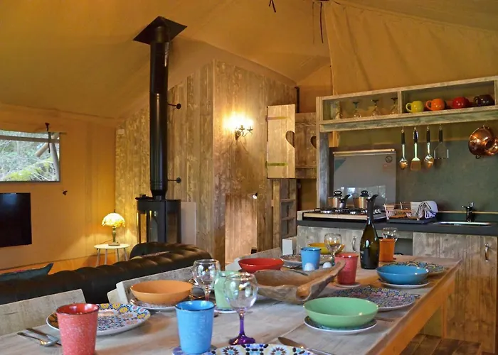 Hill Of Oaks Campingplatz Windermere