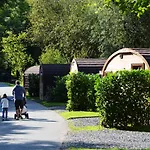 Hill Of Oaks Camping